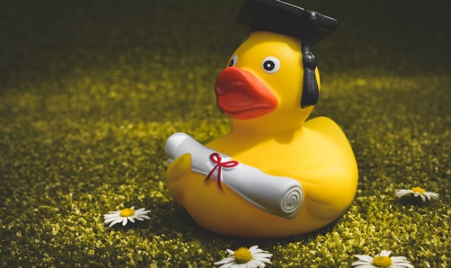 Купить диплом с занесением в реестр России быстро